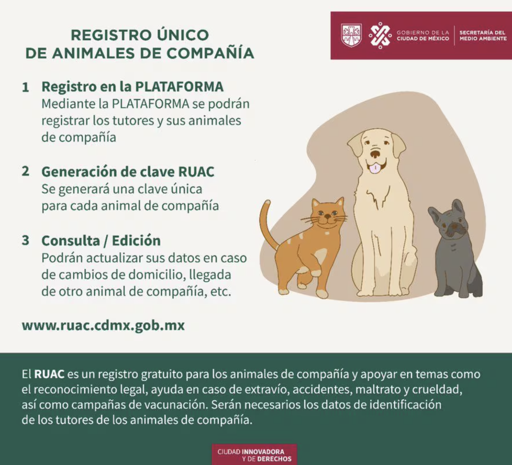 Los registros de los animales de compañía